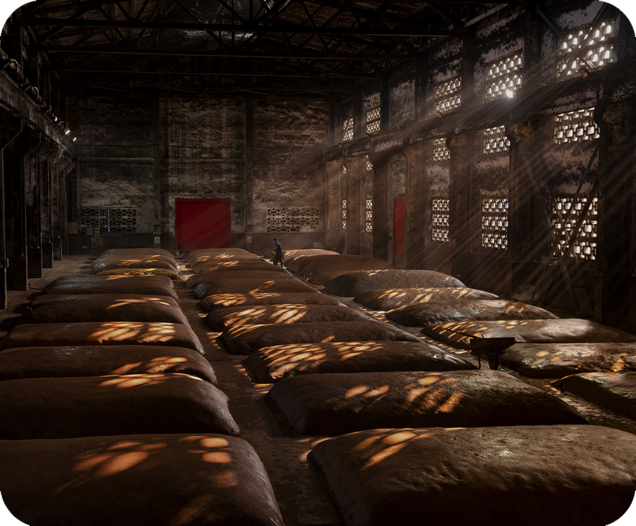 必赢亚洲·bwin(中国区)官方网站