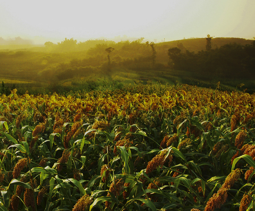 必赢亚洲·bwin(中国区)官方网站